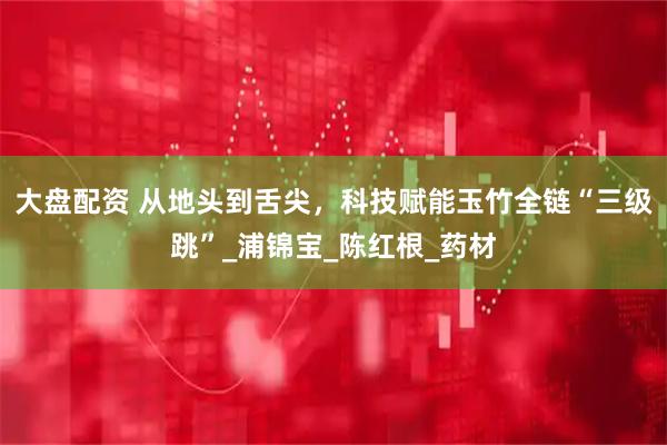 大盘配资 从地头到舌尖，科技赋能玉竹全链“三级跳”_浦锦宝_陈红根_药材