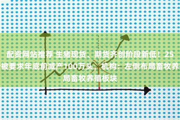 配资网站推荐 生猪现货、期货齐创阶段新低！25家猪企被要求年底前减产100万头，机构：左侧布局畜牧养殖板块
